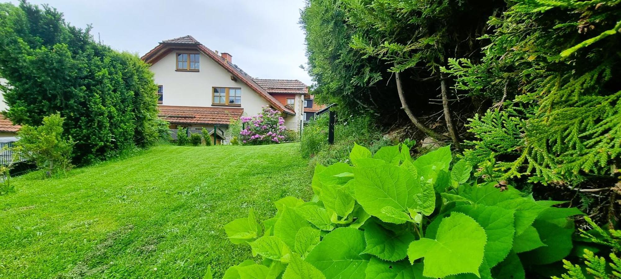 Villa Haus Siggi Braunlage Exterior foto